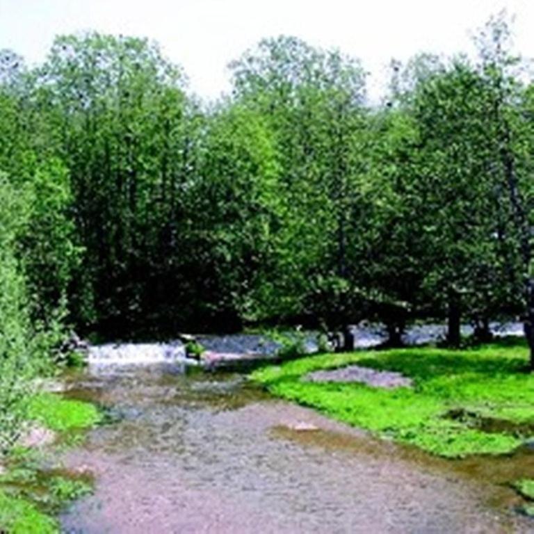 Le Moulin De Poilly Bed & Breakfast Eksteriør bilde